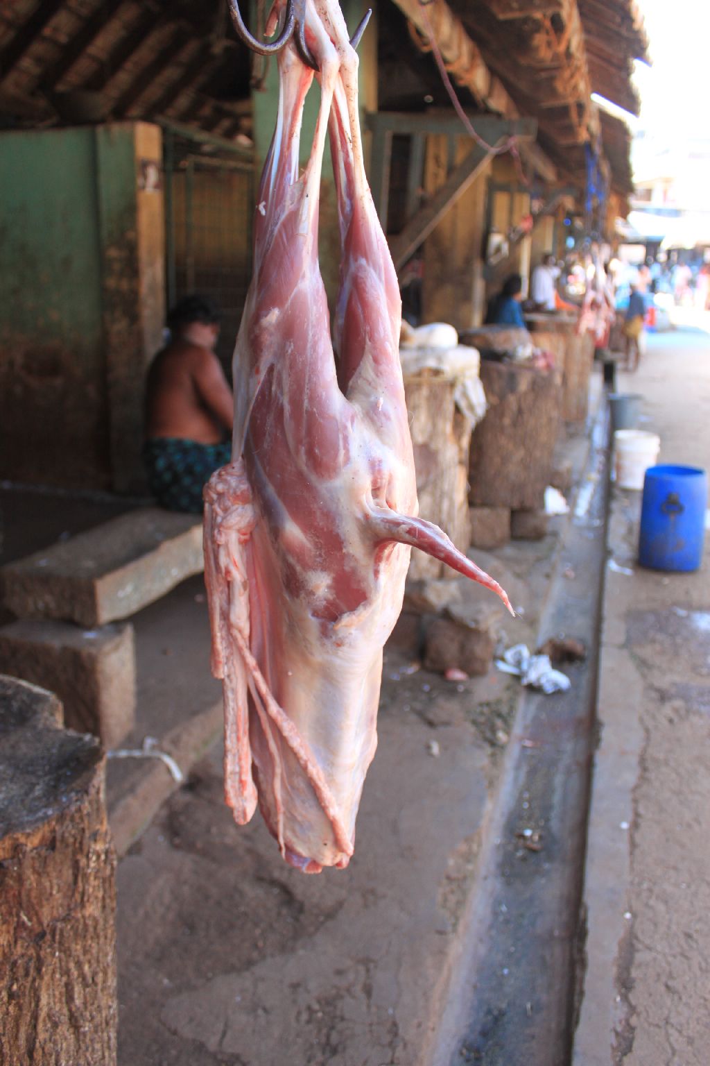 IMG_7515_mutton_rs IMG_7515_mutton_rs