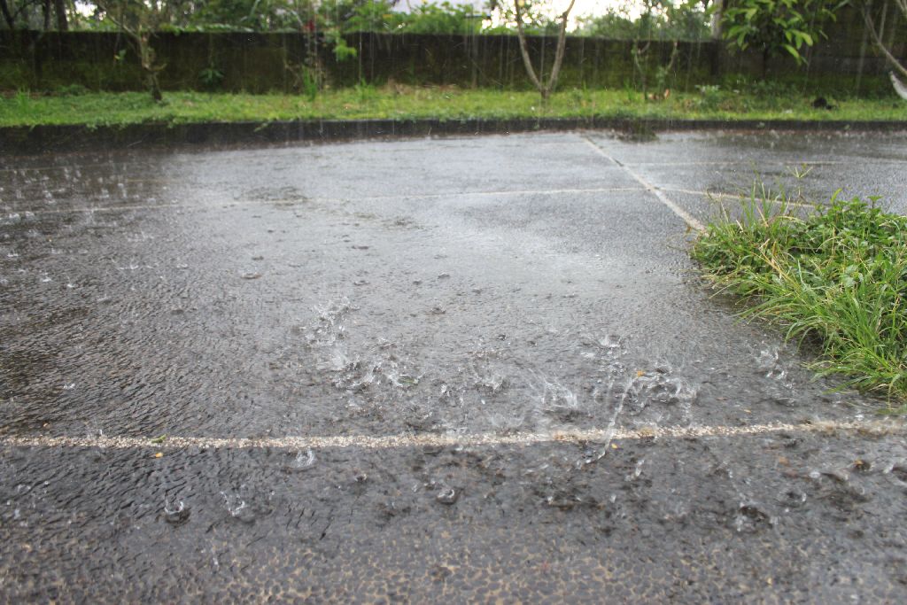 IMG_8561_ame_rs