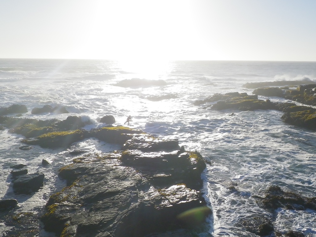 3IMGP0015_r