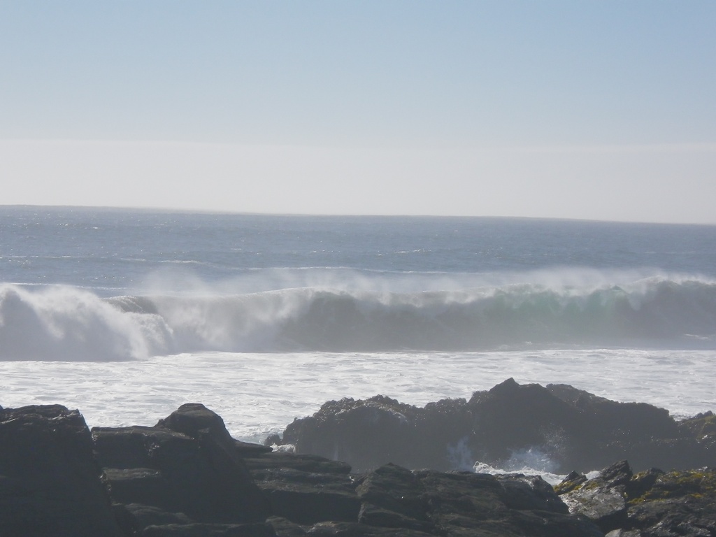 4IMGP0019_r