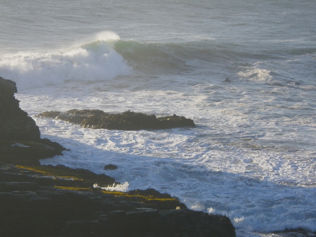 IMGP0023_r