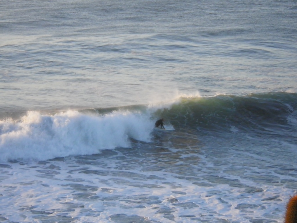 IMGP0072_r