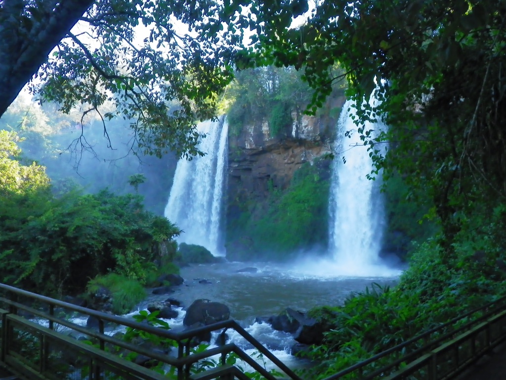 IMGP0124_r