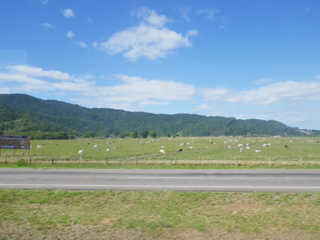 IMGP0133_r