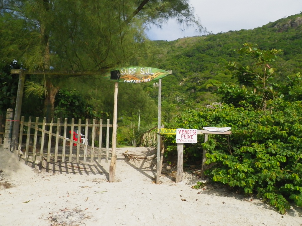 IMGP0282_r
