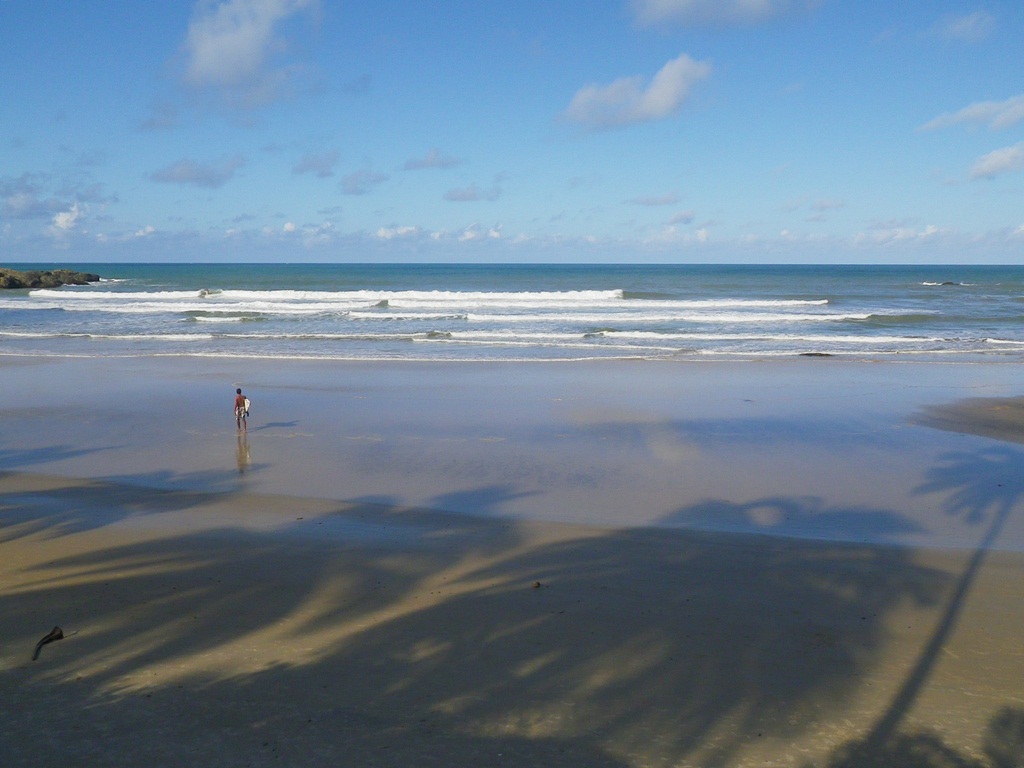 IMGP0811_r