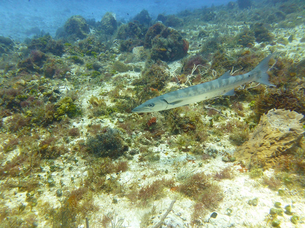 P1040141_r